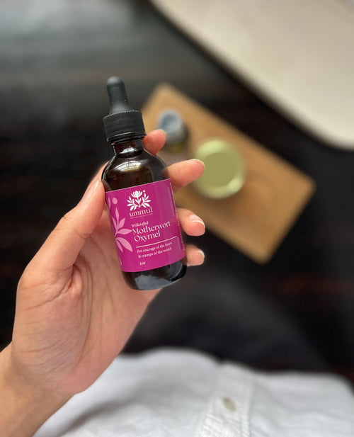 Organic Motherwort Oxymel for Postpartum and Menstrual Cramps